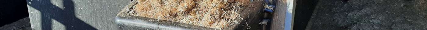 De ideale hoogte voor een slowfeeder: wat is het beste voor je paard?