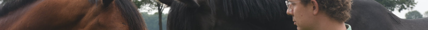 Onze favoriete slowfeeders: voor stal, weide, paddock en pony's