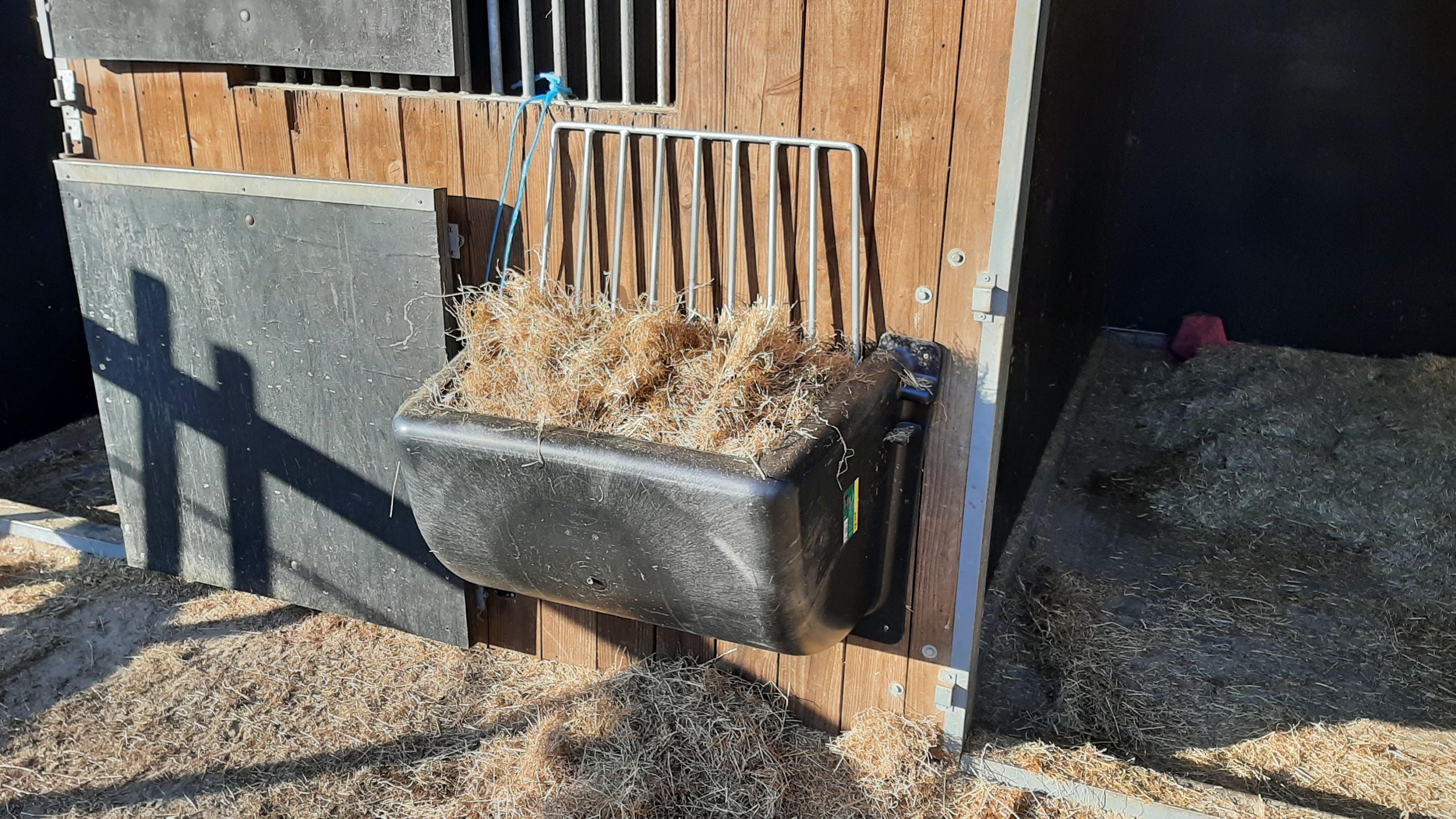 De ideale hoogte voor een slowfeeder: wat is het beste voor je paard?