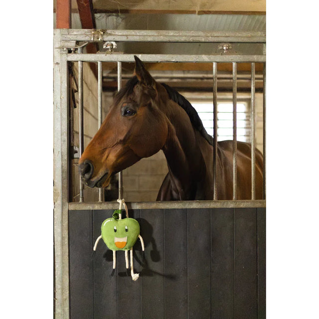 Verrijking en speelgoed voor paarden