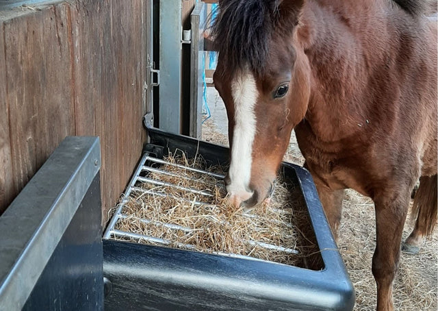 Slowfeeders voor op stal
