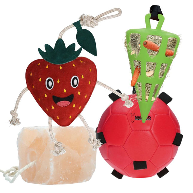 Horse Fun Pack | Set verrijkingsmateriaal