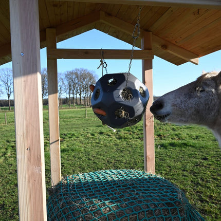 Feed & Play Ball Slow Feeding Ball