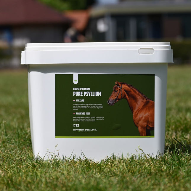 Graines de psyllium - Psyllium pur - 17 kg