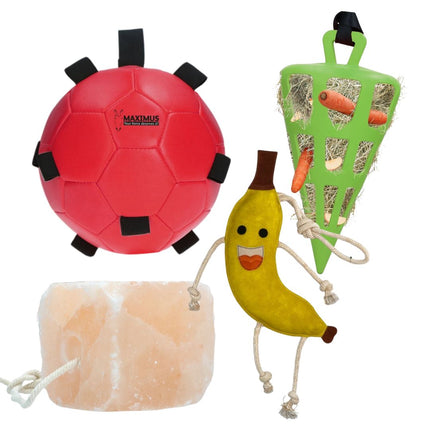 Horse Fun Pack | Set verrijkingsmateriaal