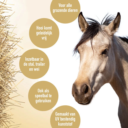 slowfeeder informatie