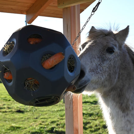 Feed & Play Ball Slow Feeding Ball