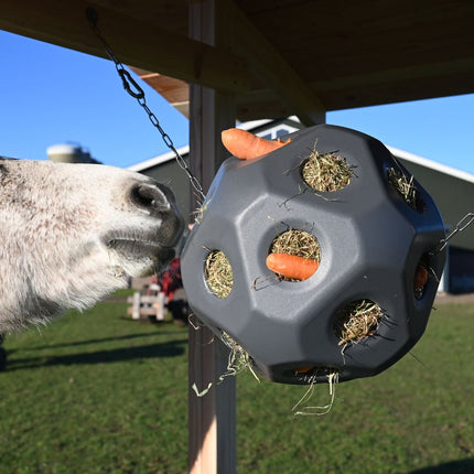 Feed & Play Ball Slow Feeding Ball