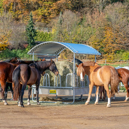 ruif met dak en paarden