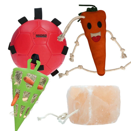 Horse Fun Pack | Set verrijkingsmateriaal