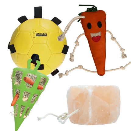 Horse Fun Pack | Set verrijkingsmateriaal