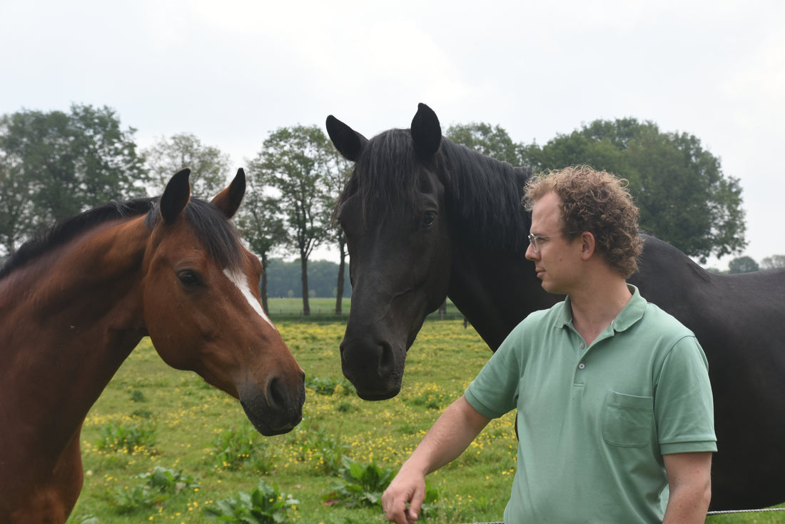 Bert van De Slowfeeder Specialist met twee paarden in de wei