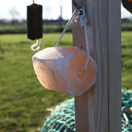 Horse Salt Lick Himalaya 2-3 kg (Met touw)