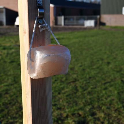 Horse Salt Lick Himalaya 2-3 kg (Met touw)