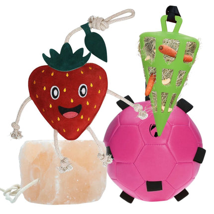 Horse Fun Pack | Set verrijkingsmateriaal