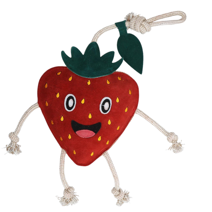 aardbei verrijking paard