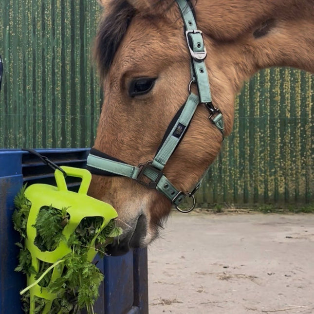 Horse Fun Pack | Set verrijkingsmateriaal