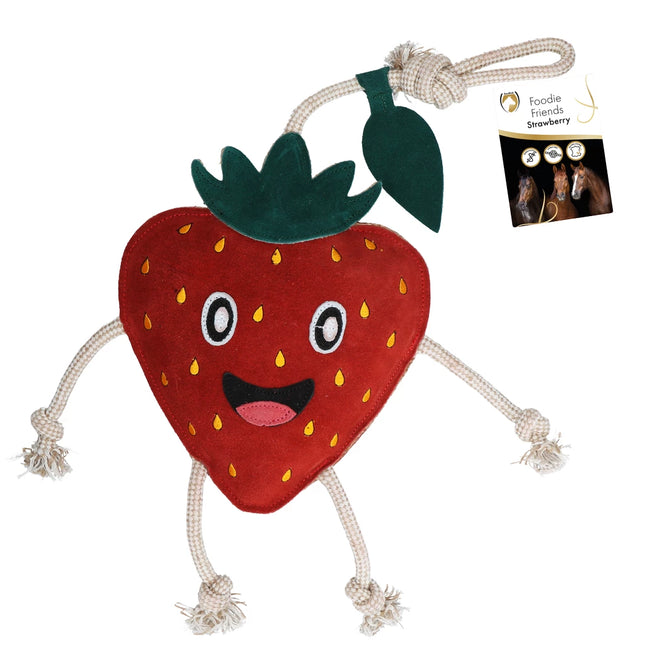 Appel speeltje paard