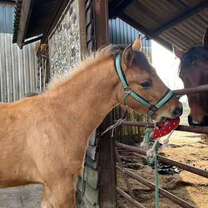 Horse Foodie Friends. Diverse varianten