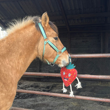 Horse Fun Pack | Set verrijkingsmateriaal