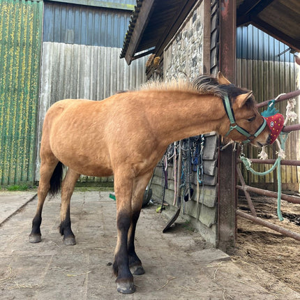 Horse Foodie Friends. Diverse varianten