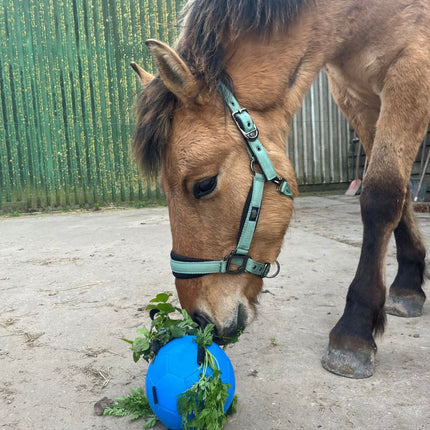 Horse Fun Play Ball, diverse kleuren.