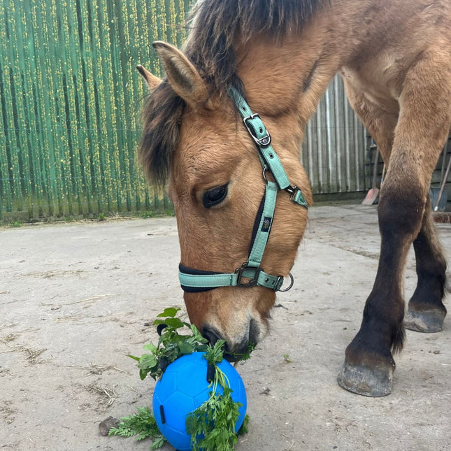 Horse Fun Play Ball, diverse kleuren.