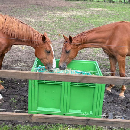 Grote groene XXL slowfeeder waar 2 paarden samen uit eten.