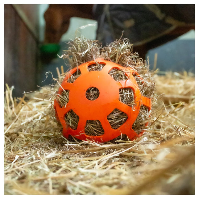 hooibal speelbal in stal met hooi er in