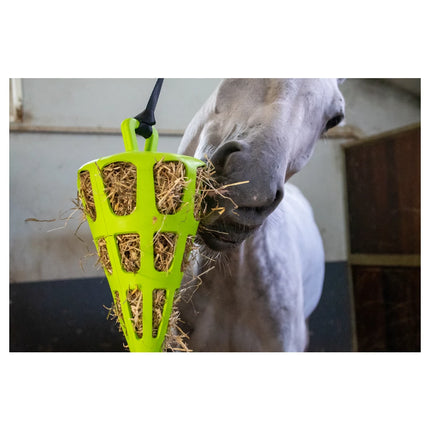 Paard eet hooi uit wortel slowfeeder in stal