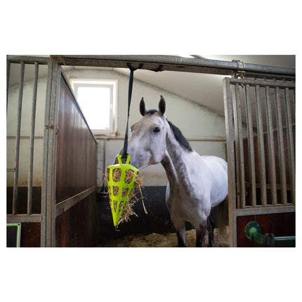Hooi wortel slowfeeder met paard in stal
