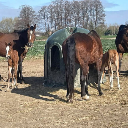 Haybell hooistolp slowfeeder