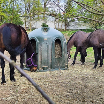 Haybell hooistolp slowfeeder