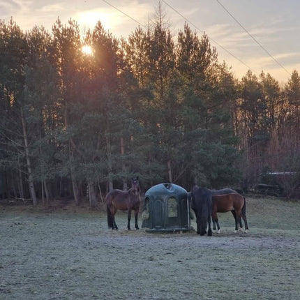 Haybell hooistolp slowfeeder