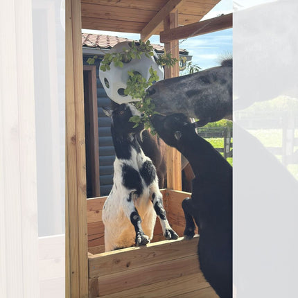 Slowfeeder hooihuisje voor paarden. Compleet geleverd