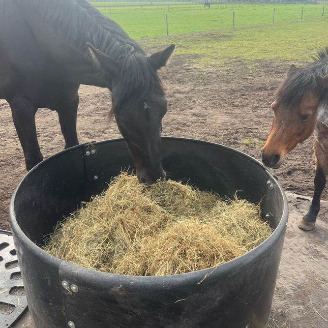 Hooiring slowfeeder