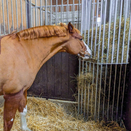 Hooiruif 2 meter voor op stal