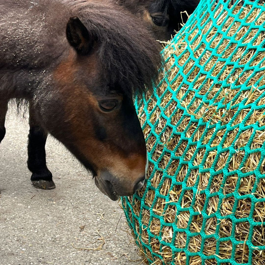 Een pony eet hooi uit een slowfeeder hooizak
