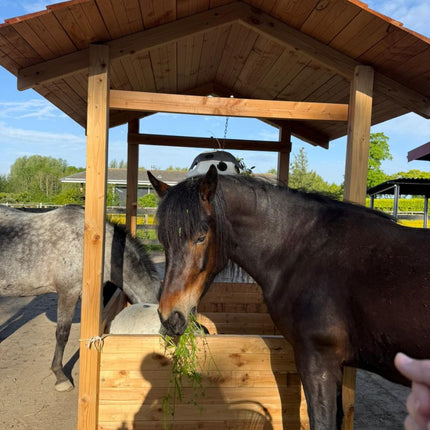 Slowfeeder hooihuisje voor paarden. Compleet geleverd