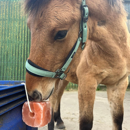Horse Fun Pack | Set verrijkingsmateriaal