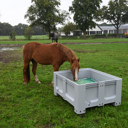pony eet comfortabel uit lage slowfeeder in XXL formaat