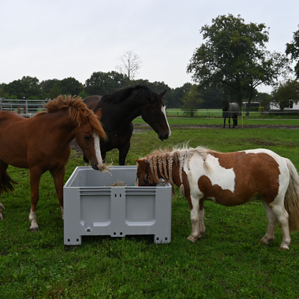 Pony’s bij grijze lage slowfeeder XXL, speciaal geschikt voor kleine paarden