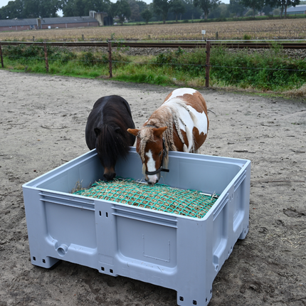 Twee pony’s samen etend uit een lage grijze slowfeeder XXL formaat