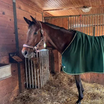 patura ruif met paard in stal