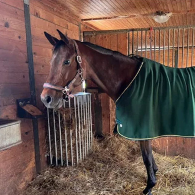 patura ruif met paard in stal