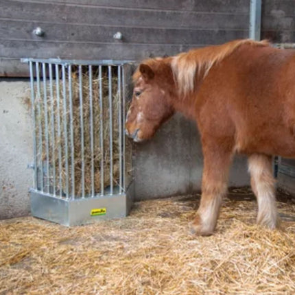 patura ruif met shetlander