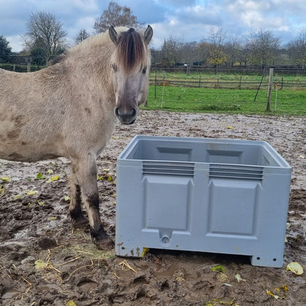 Paard wordt gevoerd met slowfeeder XXL