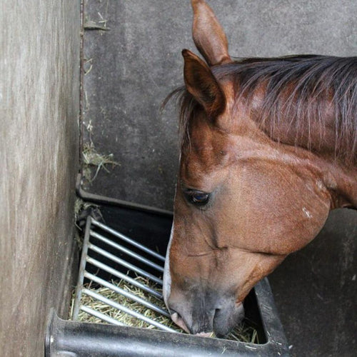 Kunststof slowfeeder hooiruif (140 liter) - met of zonder bevestigingsmateriaal in de praktijk