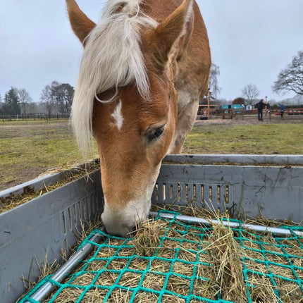 Slowfeedernet + frame