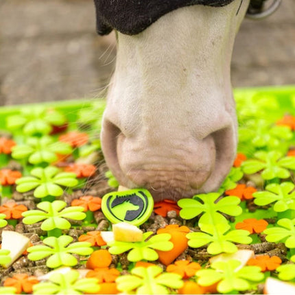 Snuffelmat voor paarden